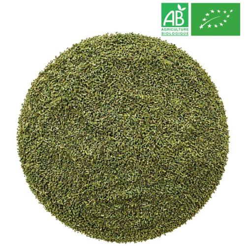 Romarin Bio - Feuille - Grossiste - Herboristerie - Grossiste-Thé.com