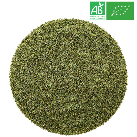 Romarin Bio - Feuille - Grossiste - Herboristerie - Grossiste-Thé.com