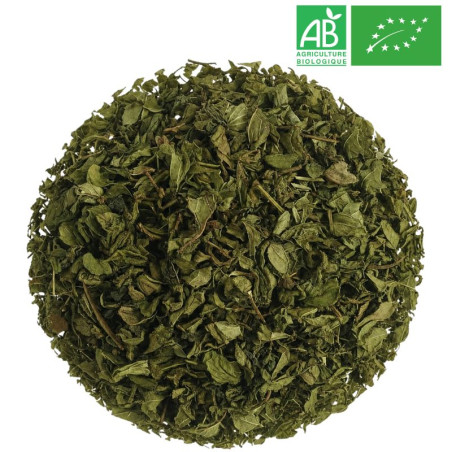 Thé à la Menthe Premium Grossiste Thé Vert Menthe Bio