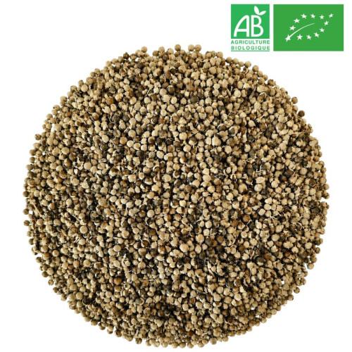 Fournisseur - Gattilier Bio - Fruit entier - Herboristerie Grossiste-Thé.com
