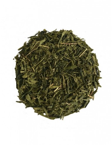 Green Tea Sencha Bio - Bag of 25 kg